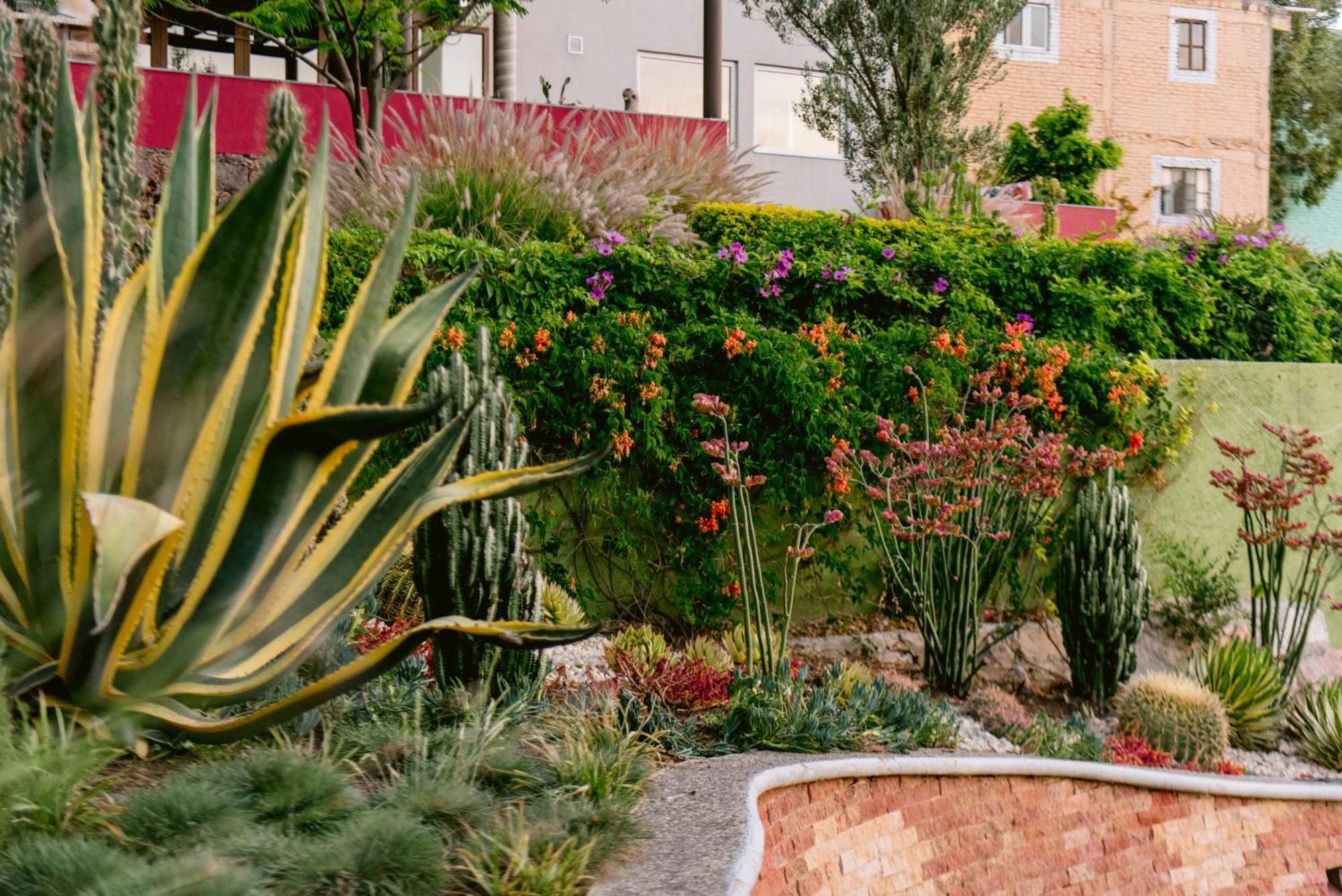 Terra Vista Aparthotel Guanajuato Exteriör bild